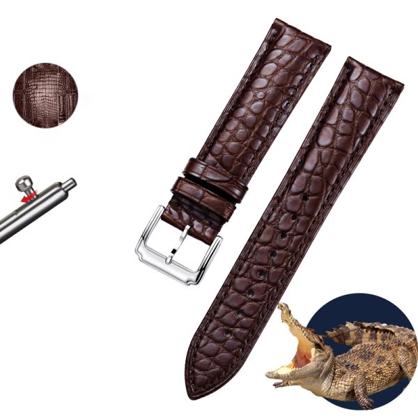 Crocodile leather strap 1178